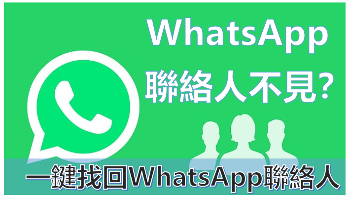如何查看WhatsApp web联系人资料? 页面展示图