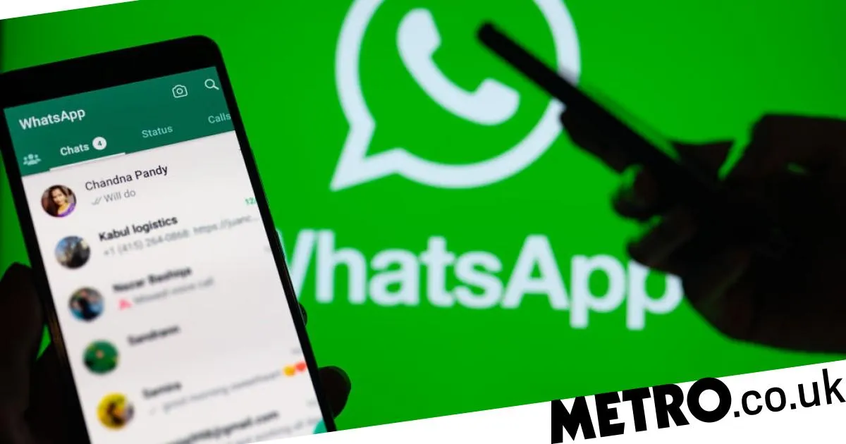 WhatsApp web支持语音通话吗？ 步骤截图